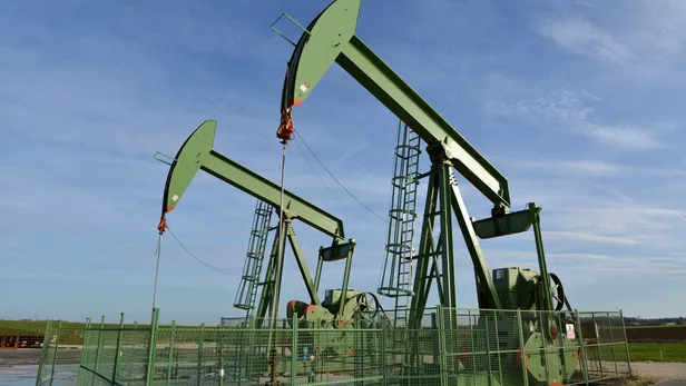 Amazonie : les Équatoriens votent l’arrêt d’un gisement pétrolier emblématique, «une décision historique»